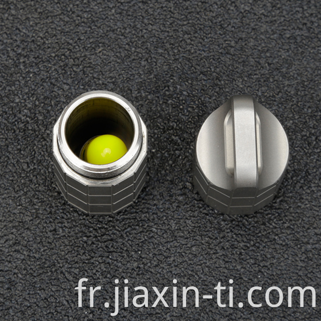 titanium capsule